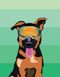 Ski Pup